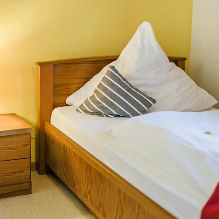 Guest house Zum Schwanen 3*