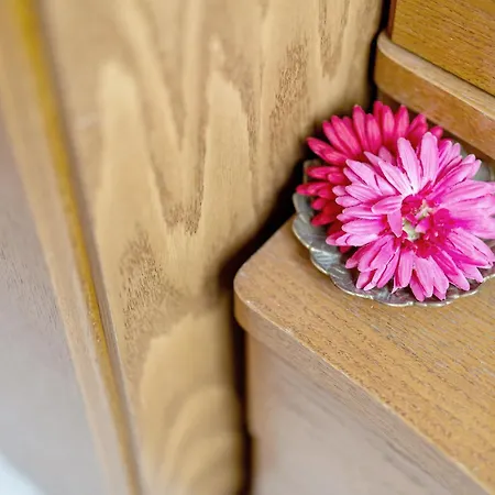 Zum Schwanen Guest house