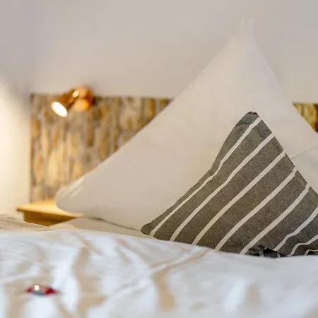 Guest house Zum Schwanen