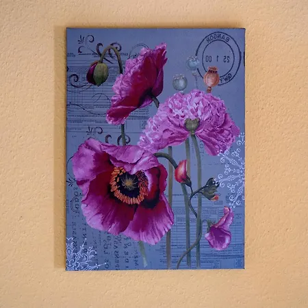 Zum Schwanen Гостевой дом 3*