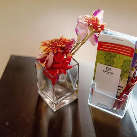 Гостевой дом Zum Schwanen