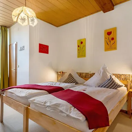 Zum Schwanen Гостевой дом 3*