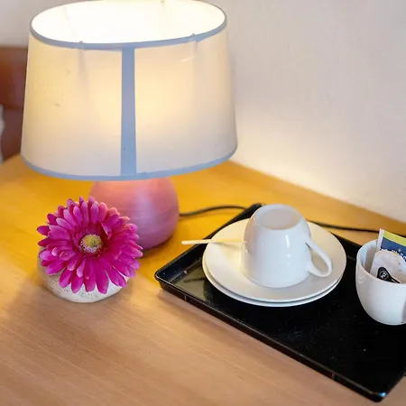 Guest house Zum Schwanen Oberkirch (Baden)