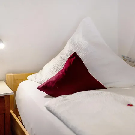 Guest house Zum Schwanen