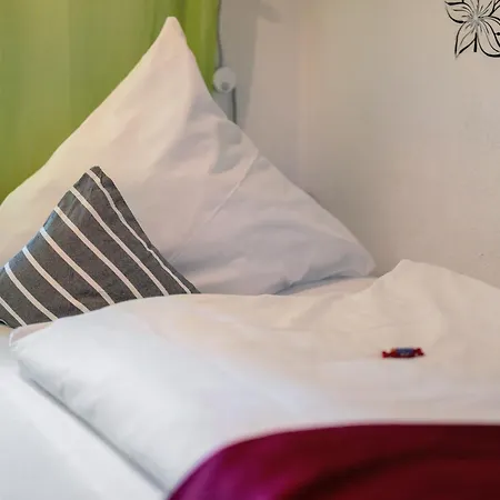 Zum Schwanen Guest house 3*