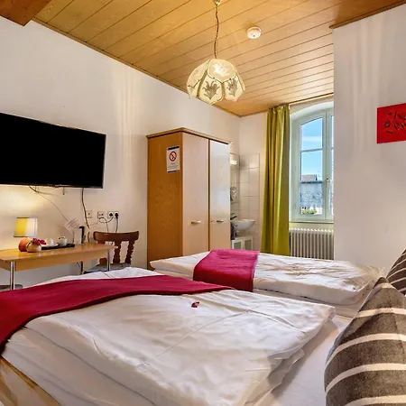 Casa de hóspedes Zum Schwanen 3*
