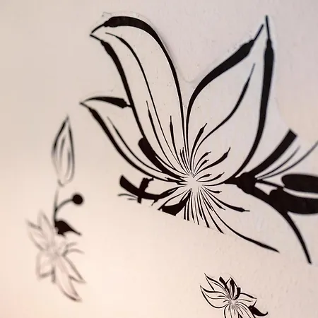 Zum Schwanen Гостевой дом