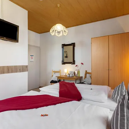 Guest house Zum Schwanen