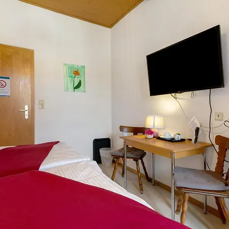 Zum Schwanen Guest house 3*