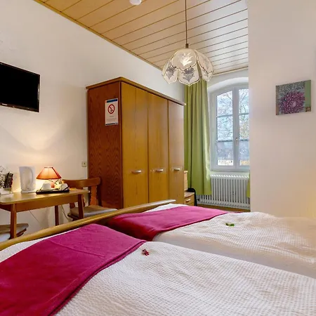 Zum Schwanen 3* Oberkirch (Baden)